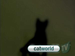 catworldtvpreview